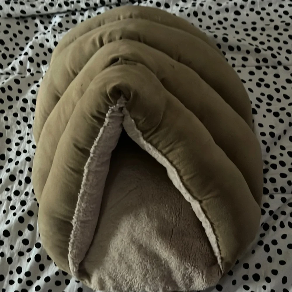 Kitten bed